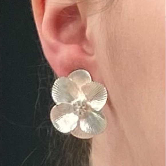 Silver Roses - Picture 3 of 4